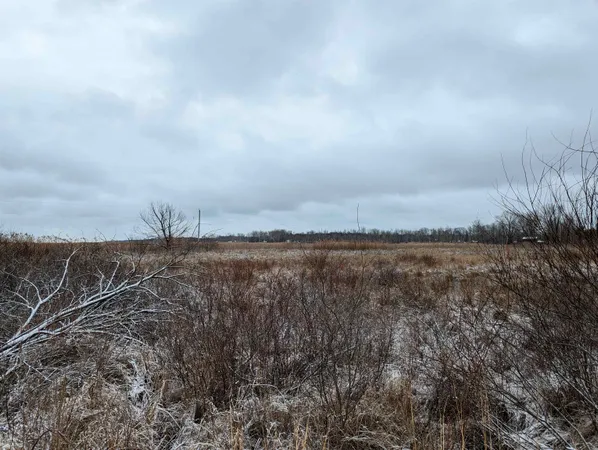 $35,000 | N/a East Midsipman Drive, Au Gres, MI 48703