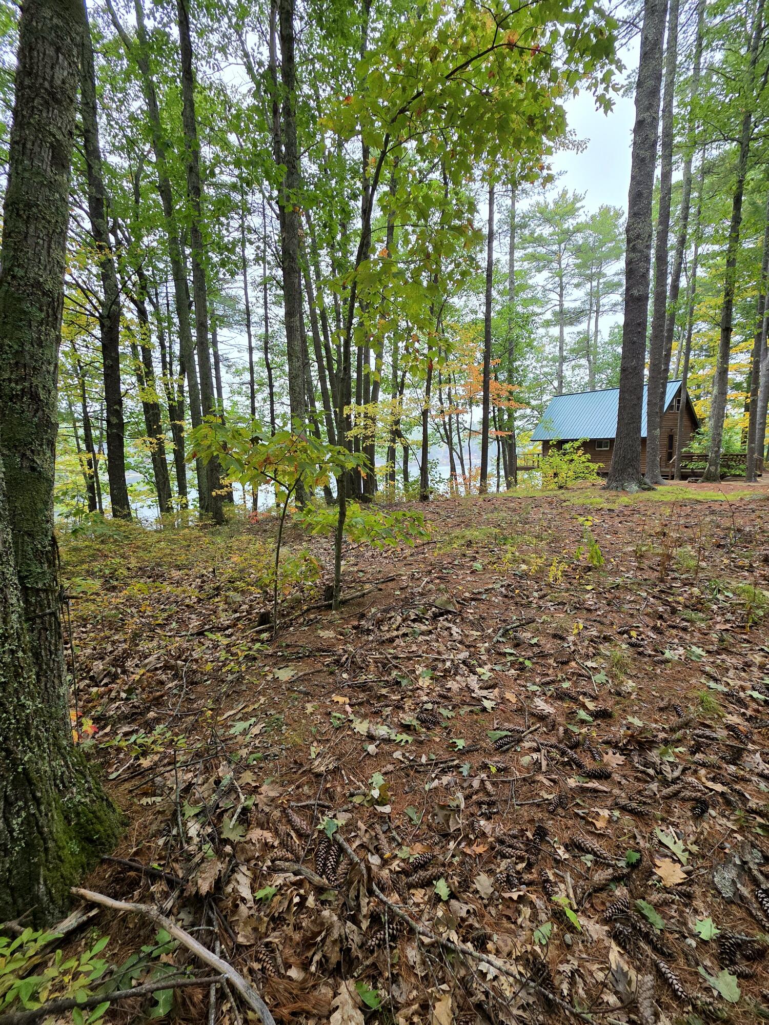 213 Barkers Pond Road Lyman, ME 04002 - Photo 62 of 64 1000013340