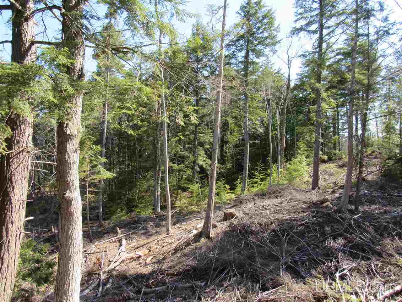 N2510 Co Rd Kch Big Bay, MI 49808 - Photo 24 of 39