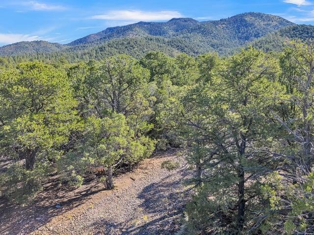 Lot 84 Upper Pinabete Road Questa, NM 87556 - Photo 5 of 12