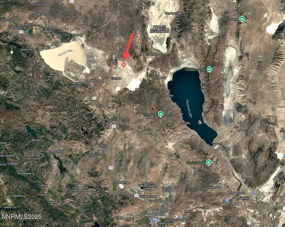 a close up of a flower in a garden