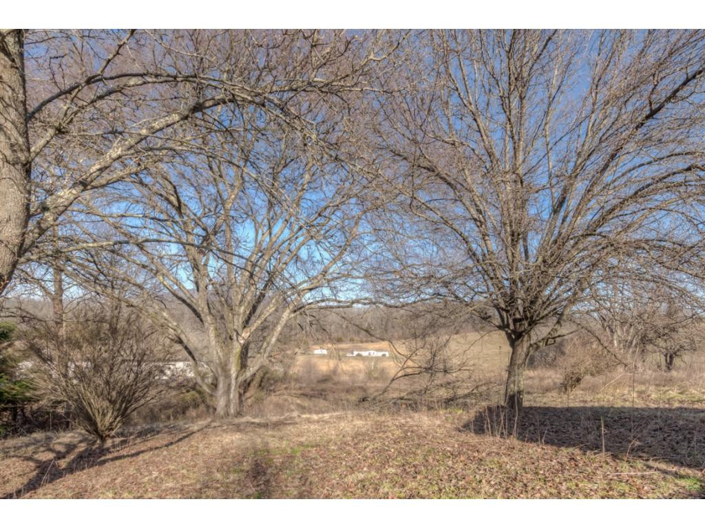 3774 Jearoldstown Road Chuckey, TN 37641 - Photo 30 of 31 Photo 30