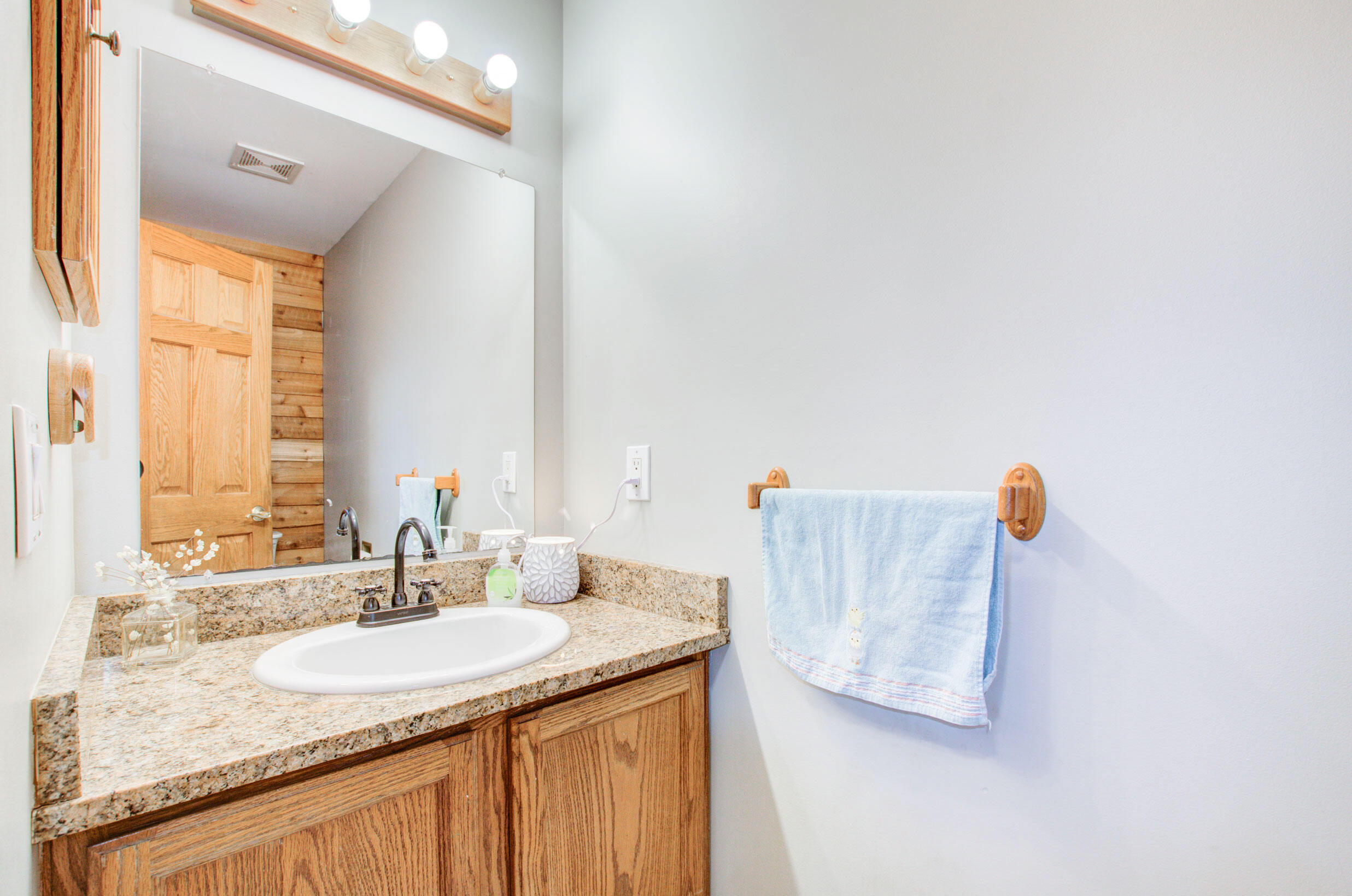 8110 Wolf Lake Road Brooklyn, MI 49230 - Photo 16 of 80 15