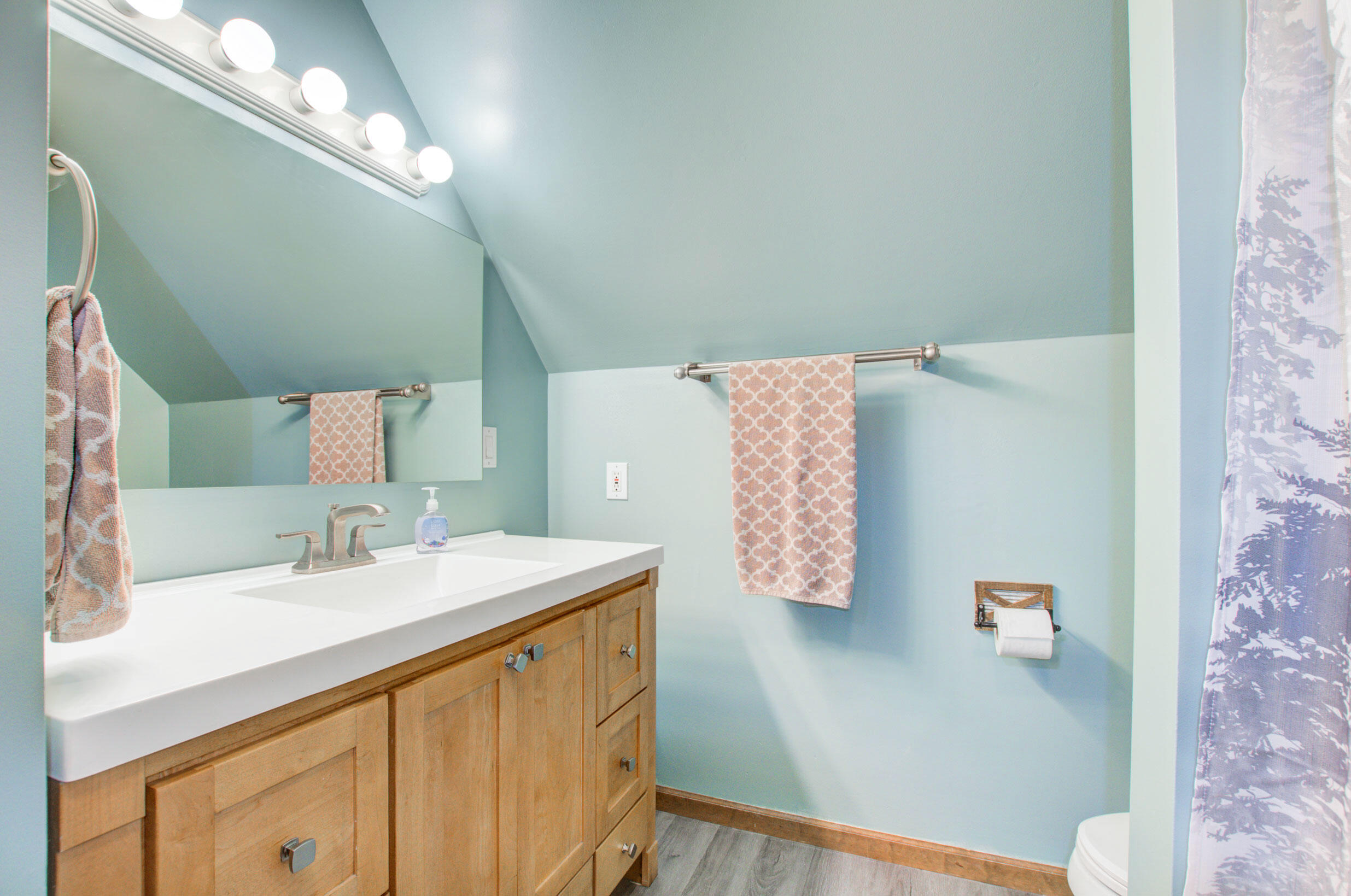 8110 Wolf Lake Road Brooklyn, MI 49230 - Photo 31 of 80 30