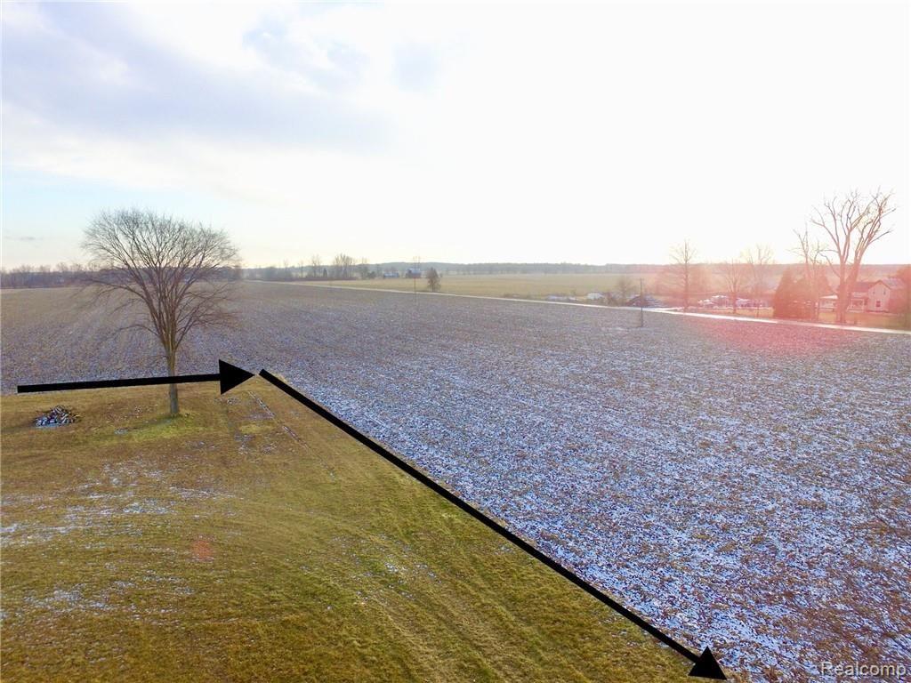 4917 Bruff Road Fowlerville, MI 48836 - Photo 10 of 37 Watch the deer roll in....