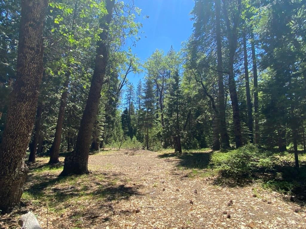 3-e-29 Red Fir Road McCloud, CA 96057 - Photo 10 of 22 Gallery Image 10