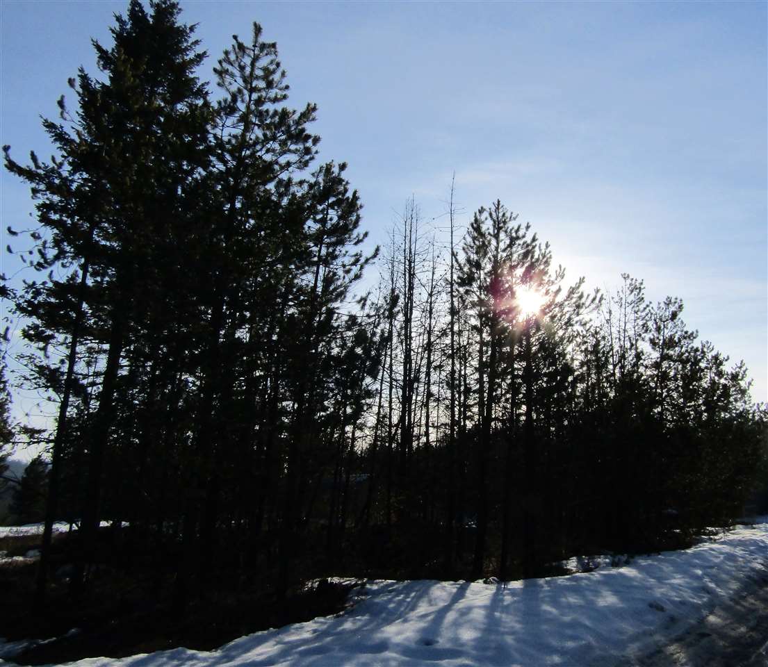 Lot 9 Pines Road Newport, WA 99156 - Photo 10 of 12