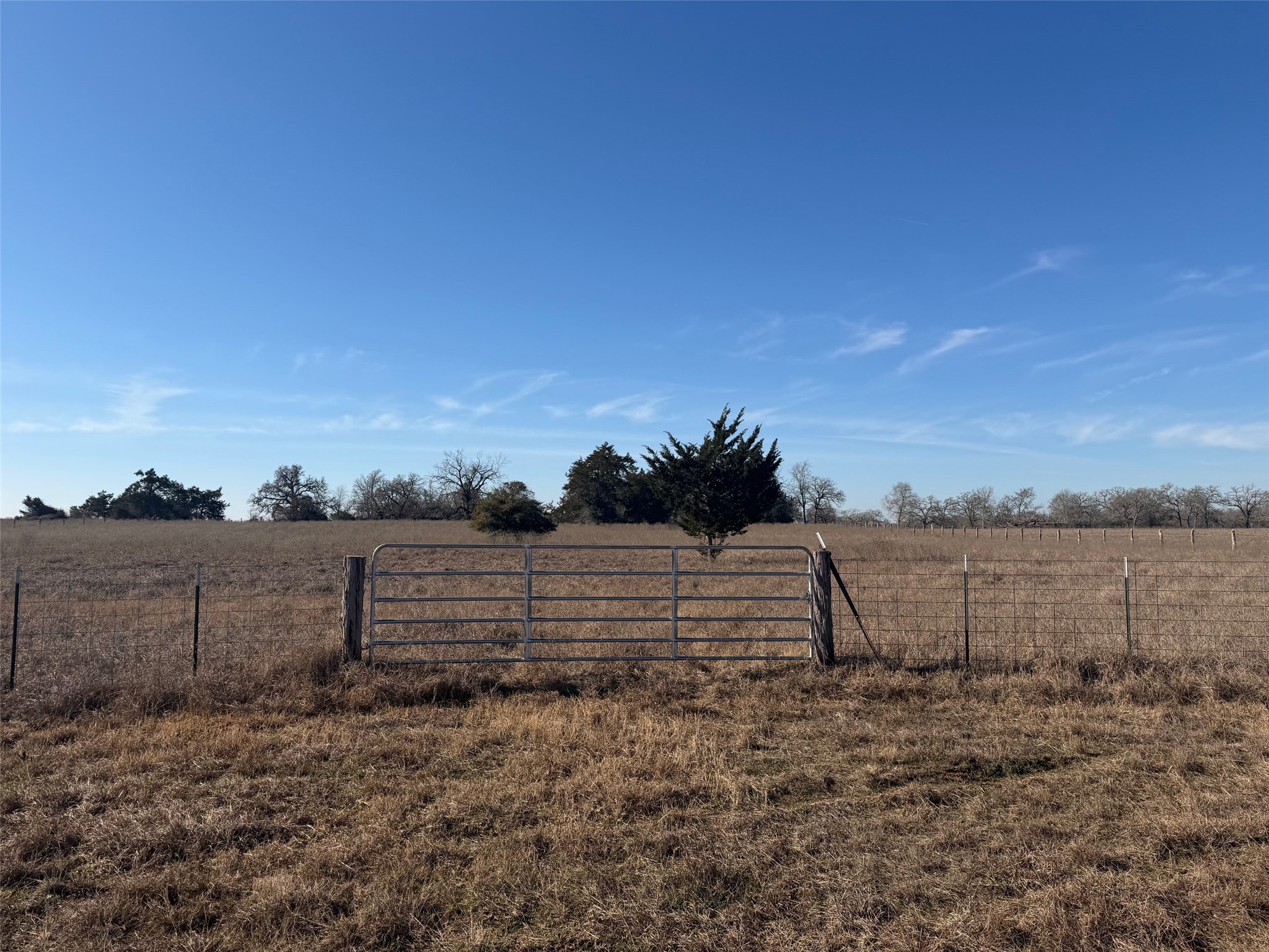 Tbd Tbd Legacy Road Somerville, TX 77879 - Photo 2 of 10 a view of lake
