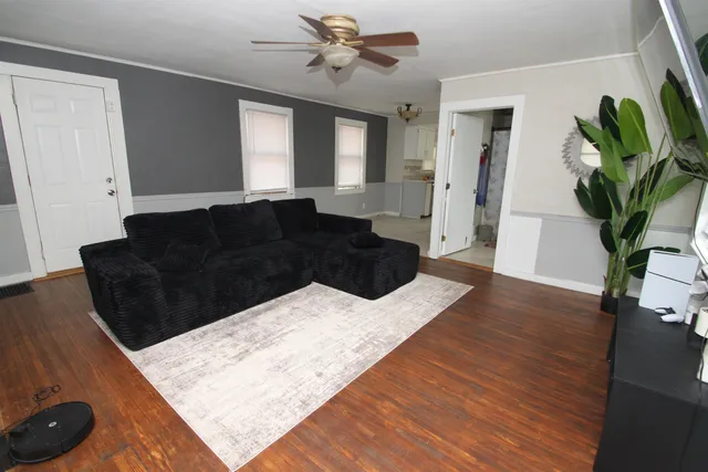 a living room with furniture and a potted plant