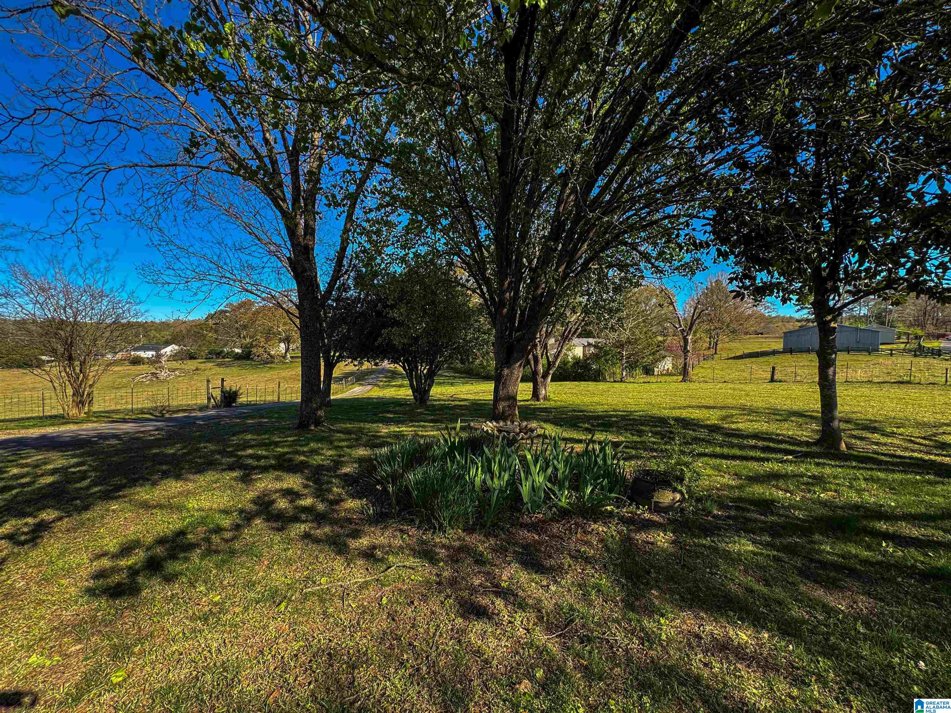 1432 Peaceful Valley Road Eastaboga, AL 36260 - Photo 9 of 91