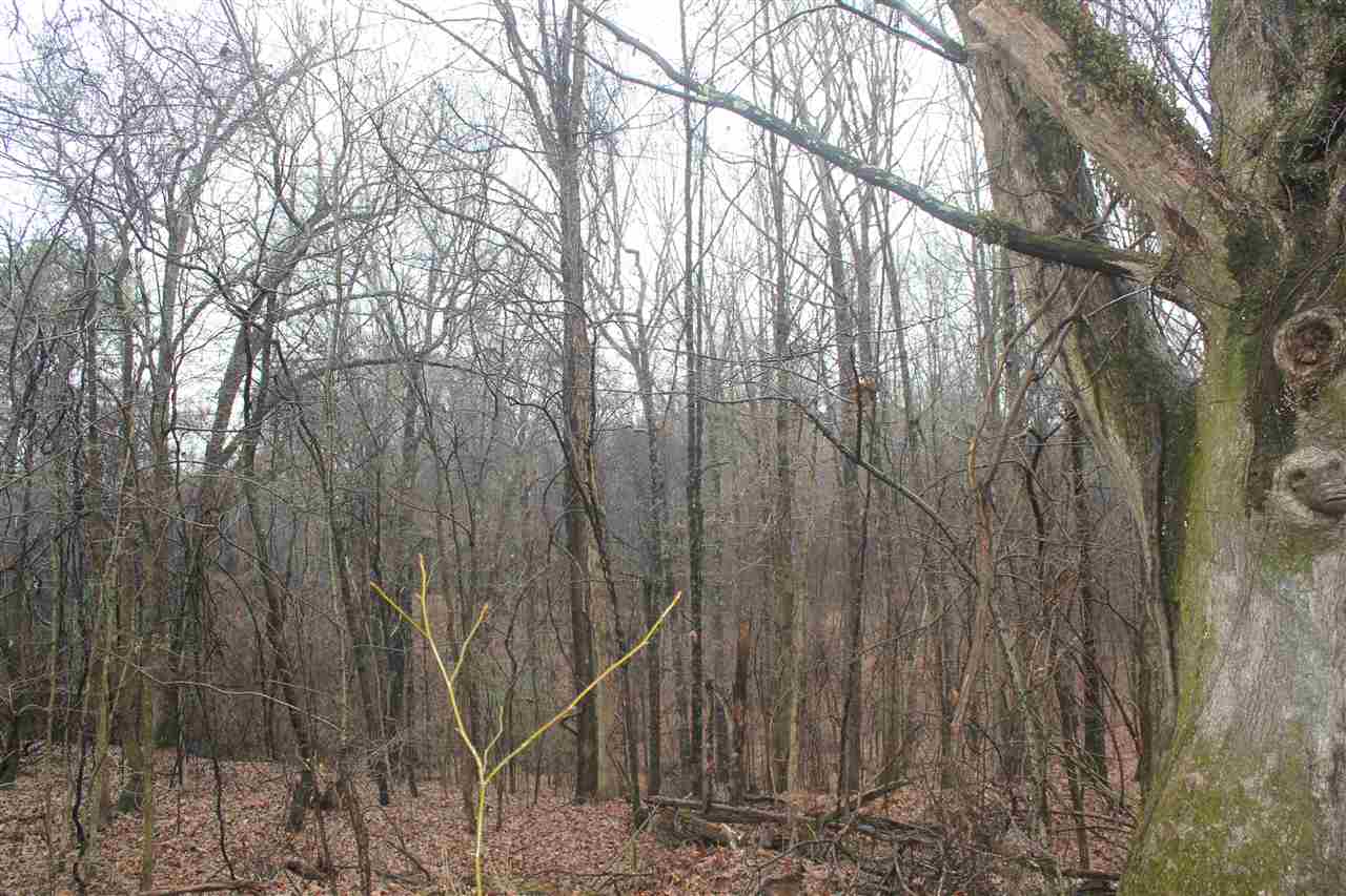 330 North Crockett Road Senatobia, MS 38668 - Photo 14 of 25 Gallery Image 14