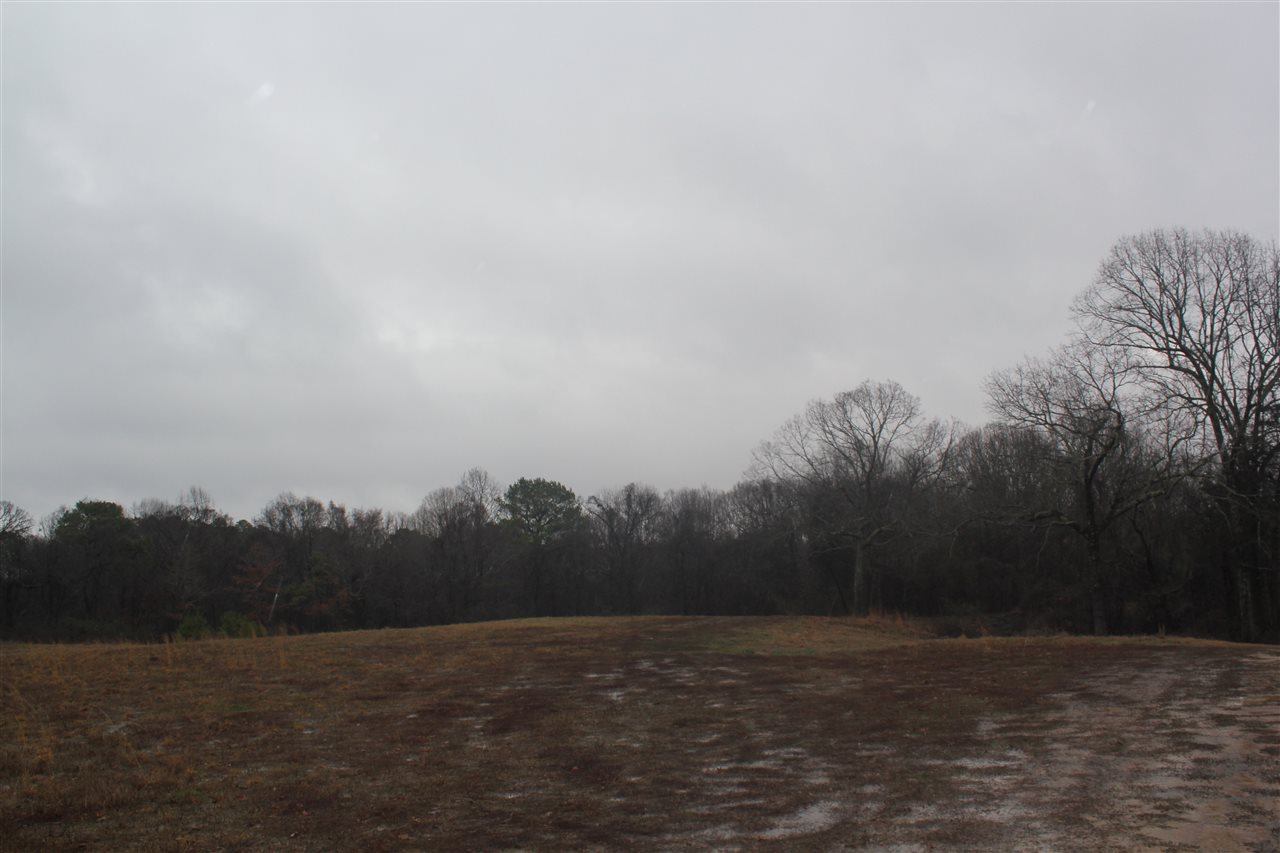 330 North Crockett Road Senatobia, MS 38668 - Photo 3 of 25 Gallery Image 3