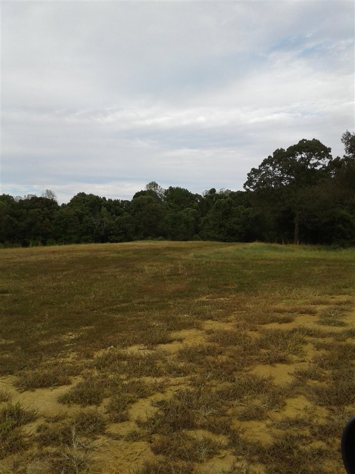 330 North Crockett Road Senatobia, MS 38668 - Photo 22 of 25 Gallery Image 22
