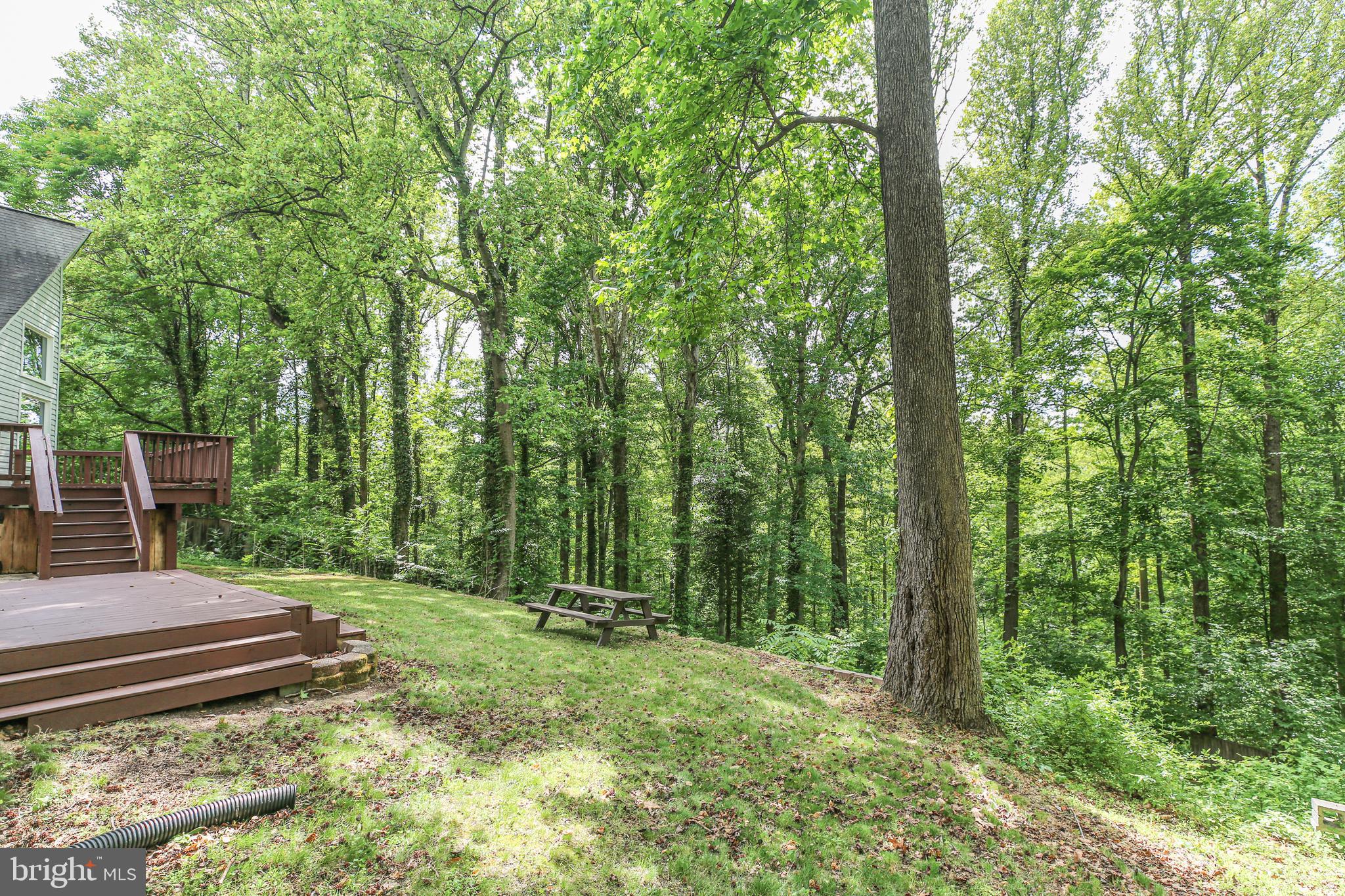 289 Sandy Ridge Road Fredericksburg, VA 22405 - Photo 30 of 37