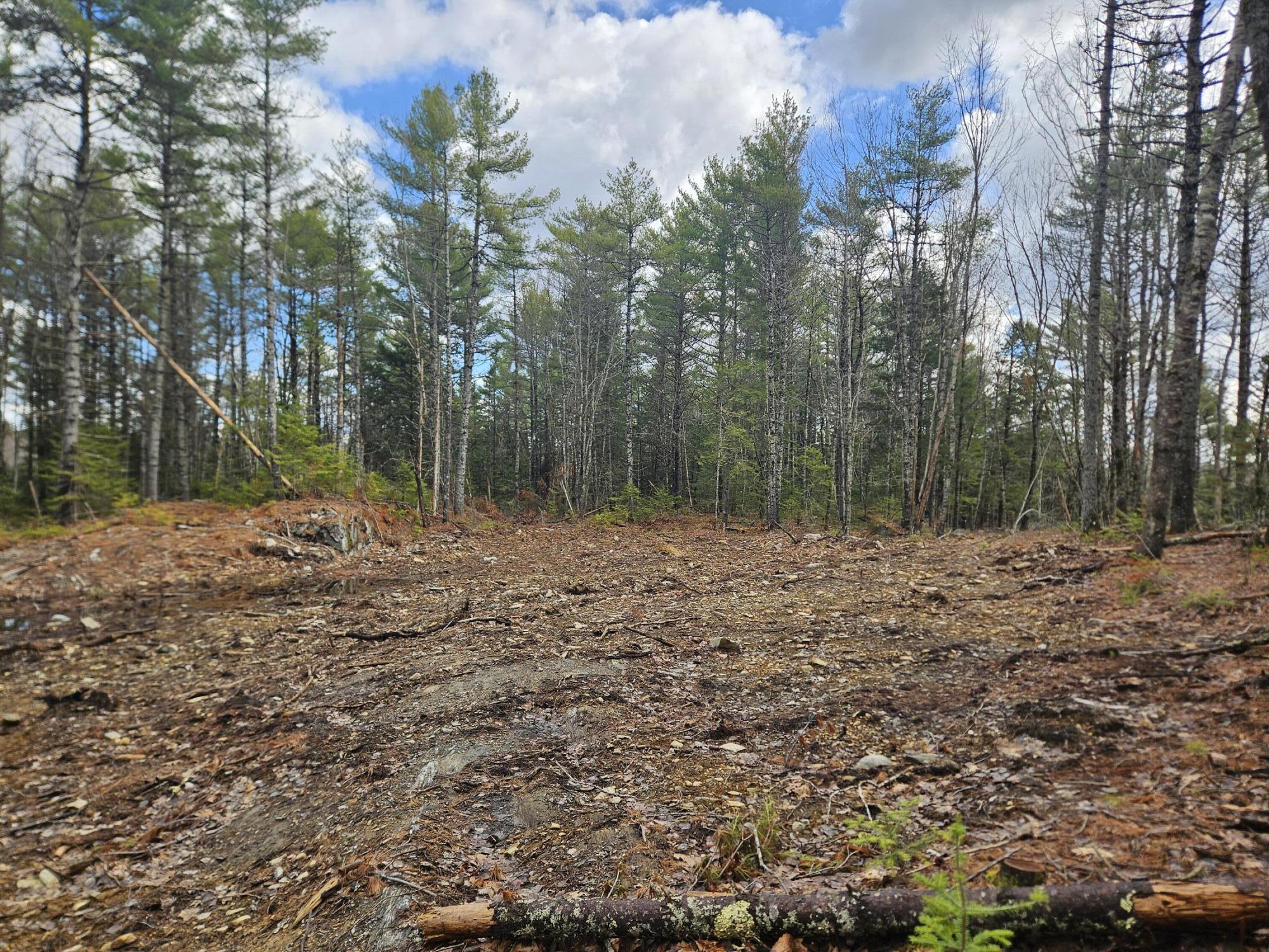 Lot 7 Rockland Road Somerville, ME 04348 - Photo 9 of 10