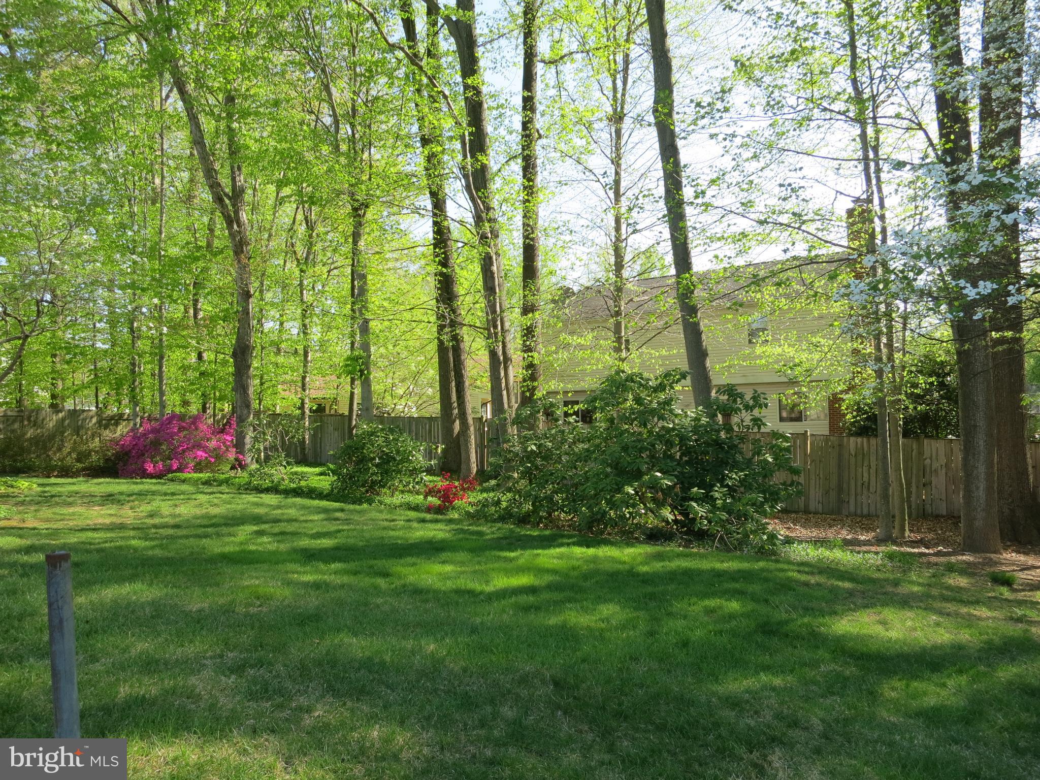 9156 Rockefeller Lane Springfield, VA 22153 - Photo 27 of 30 a view of a field with a tree