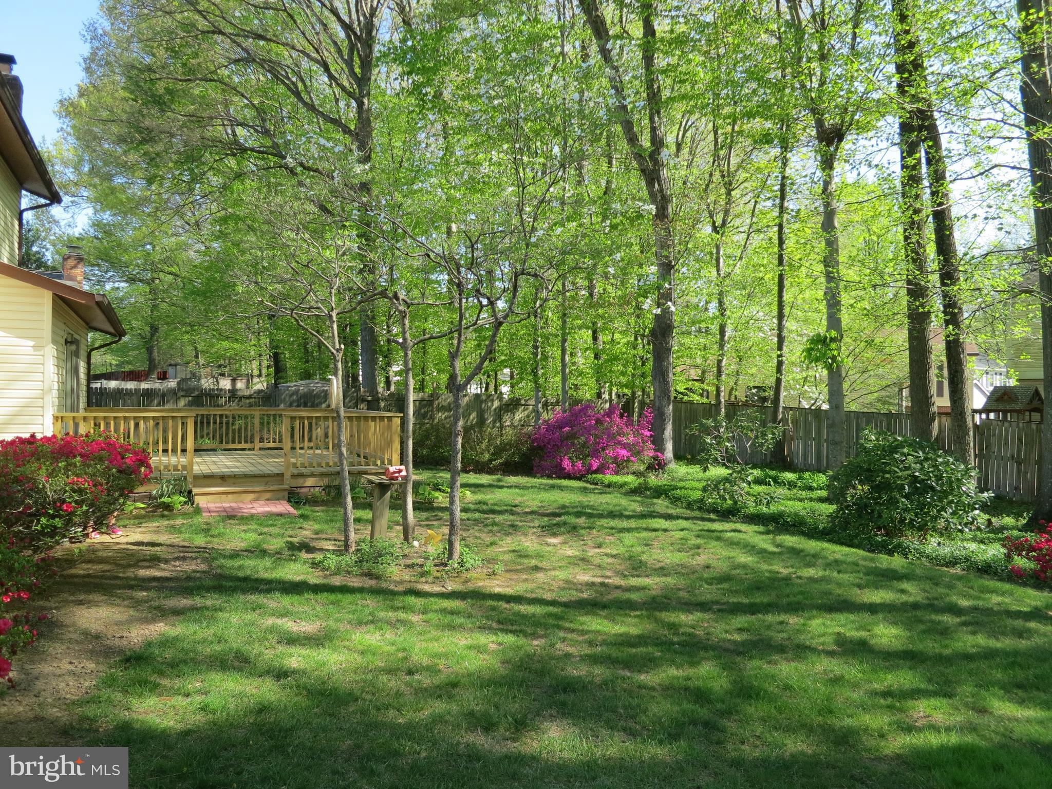 9156 Rockefeller Lane Springfield, VA 22153 - Photo 28 of 30 a view of a park with a tree