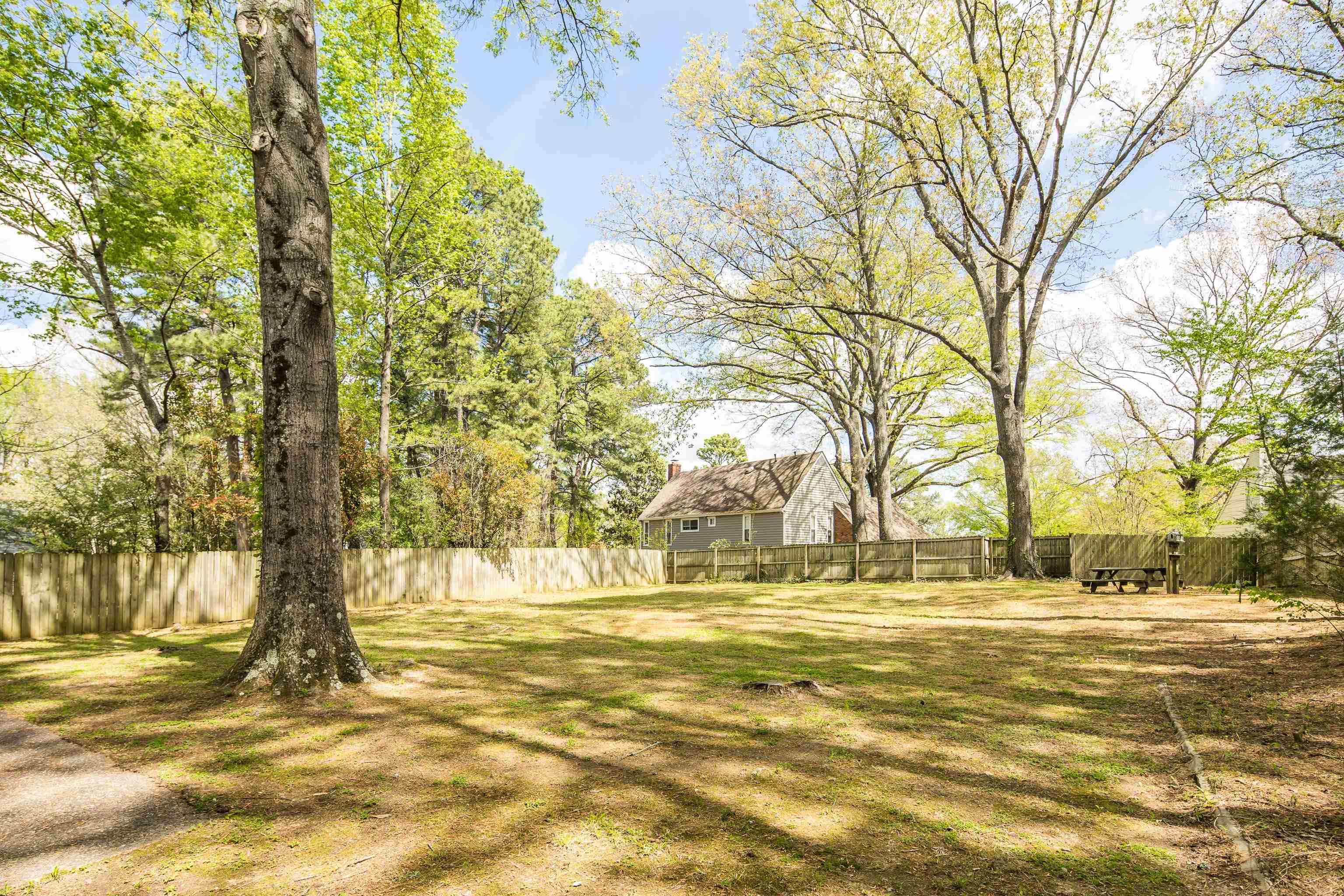 2096 Allenby Road Germantown, TN 38139 - Photo 36 of 40 a view of yard with large trees
