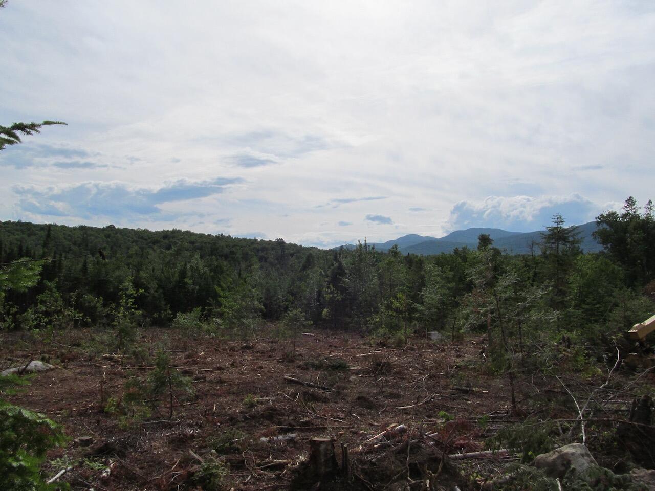 5.7 Brown Neighborhood Road Weld, ME 04285 - Photo 21 of 29 IMG_0320