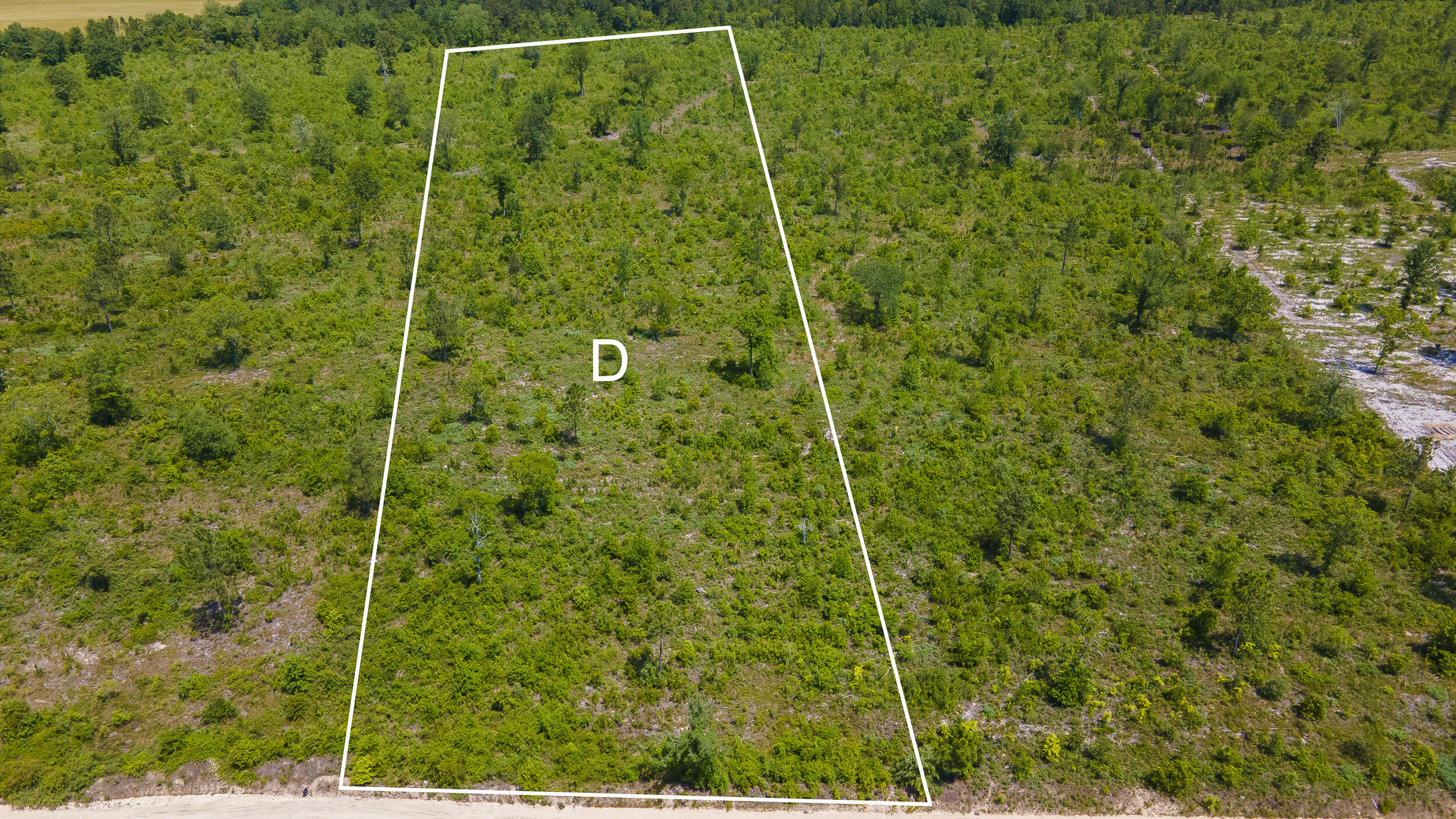 Lot 14 Old Shoals Road Road Monetta, SC 29105 - Photo 4 of 4