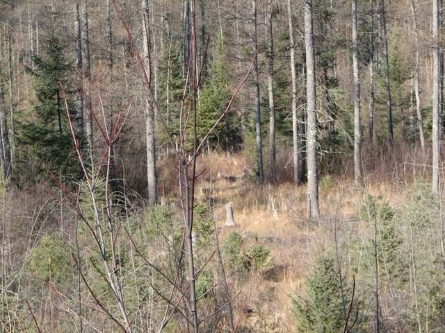 Off Off Vension Drive Prentice, WI 54556 - Photo 8 of 16 Gallery Image 8