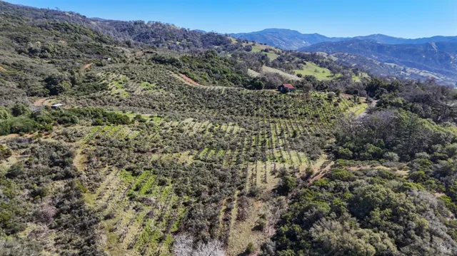 $1,750,000 | 32400 Pine Mountain Road, Cloverdale, CA 95425