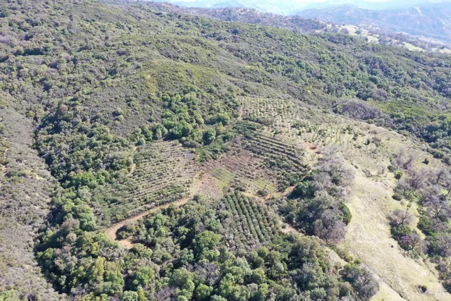 $1,750,000 | 32400 Pine Mountain Road, Cloverdale, CA 95425