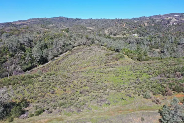 a view of a lush green field