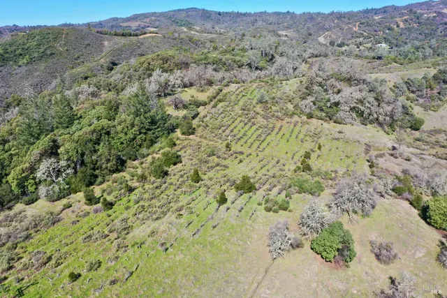 $1,750,000 | 32400 Pine Mountain Road, Cloverdale, CA 95425