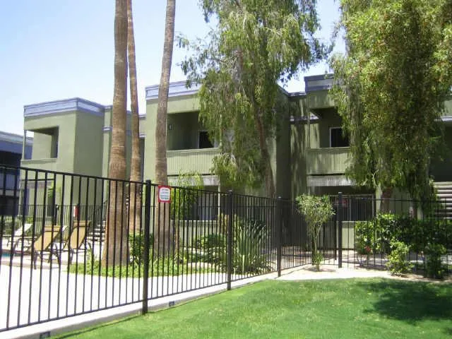 a view of a patio with table and chairs potted plants and palm tree