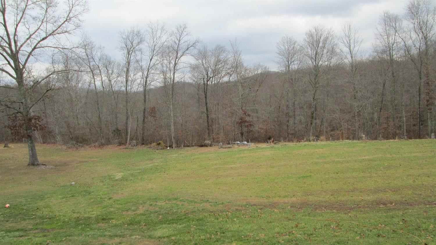 917 Hester Ridge Road Wallingford, KY 41093 - Photo 6 of 12 Photo 6
