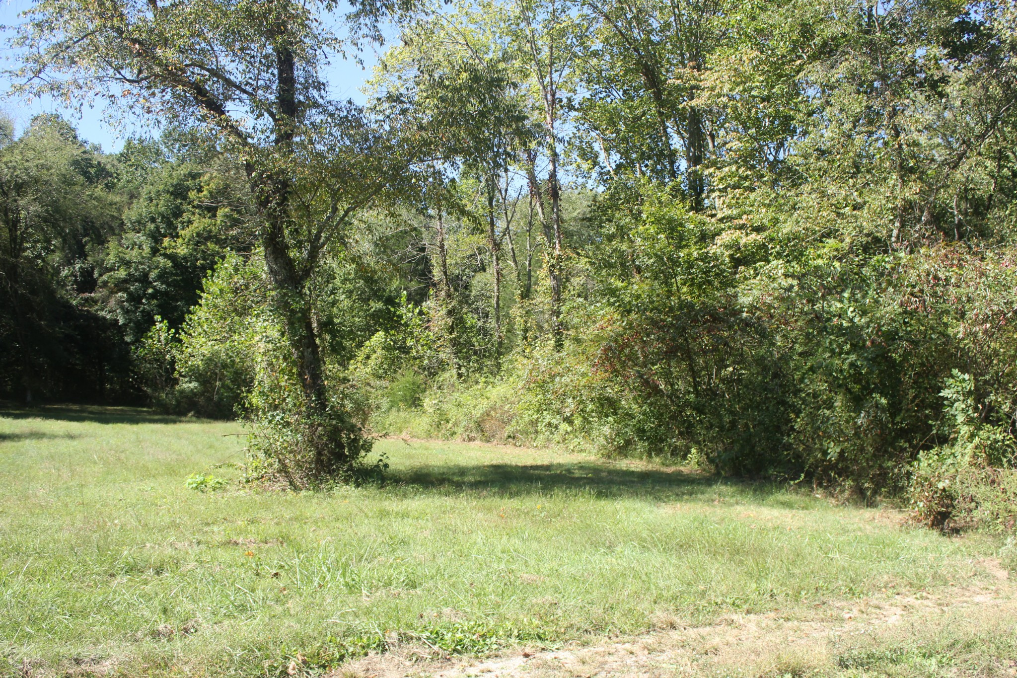 0 Puncheon Creek Road Lafayette, TN 37083 - Photo 3 of 16 a view of backyard with green space