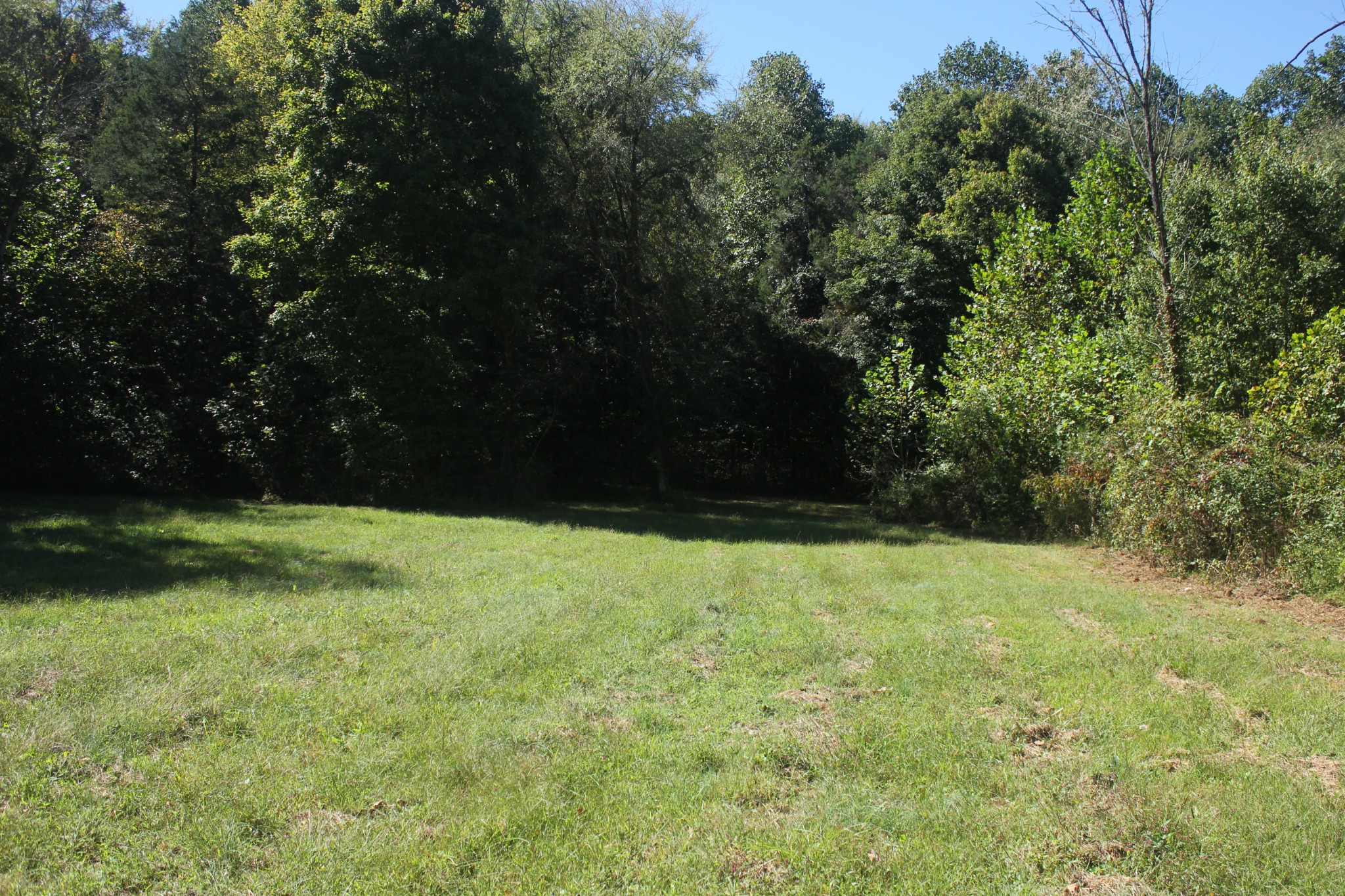 0 Puncheon Creek Road Lafayette, TN 37083 - Photo 4 of 16 a view of backyard with green space