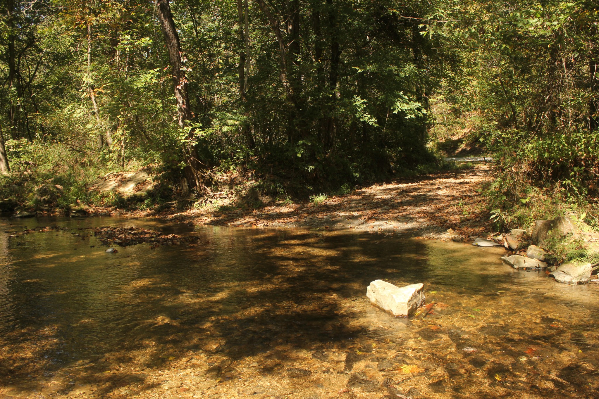 0 Puncheon Creek Road Lafayette, TN 37083 - Photo 5 of 16