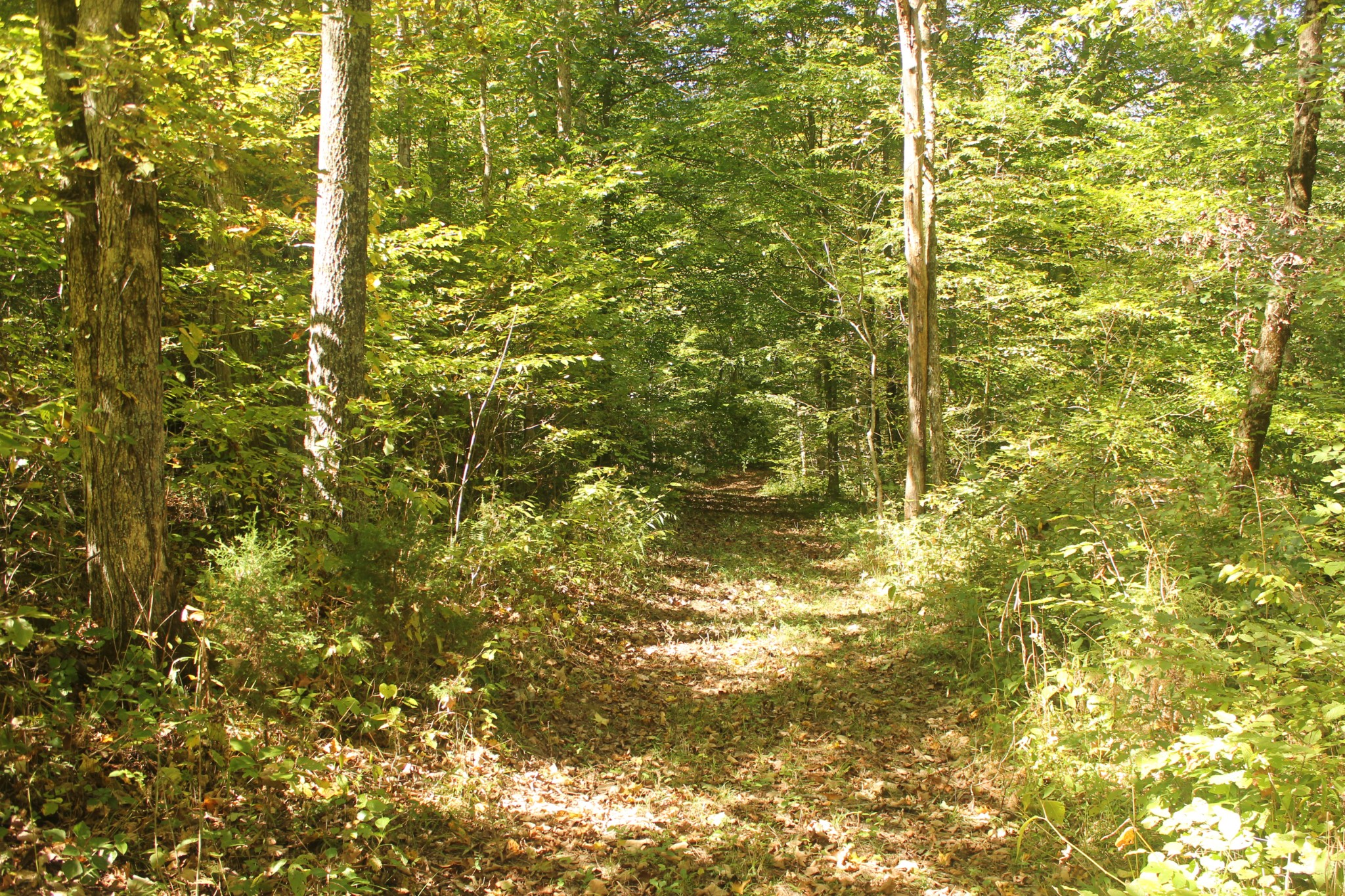 0 Puncheon Creek Road Lafayette, TN 37083 - Photo 7 of 16 a view of a bathroom