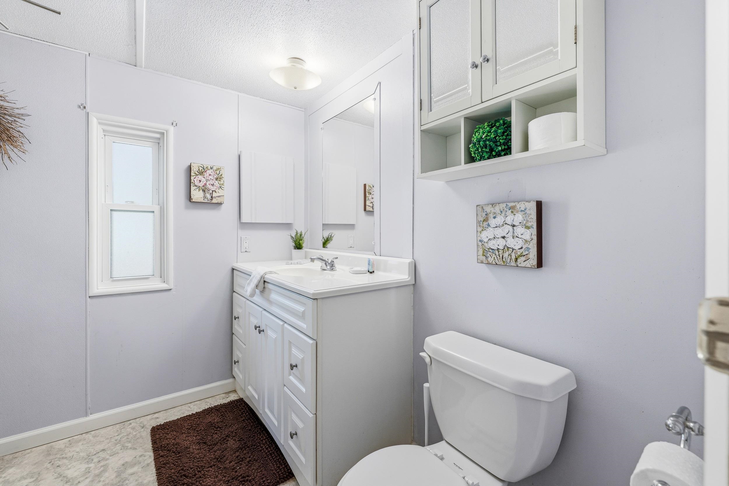 702 Richview Road Rileyville, VA 22650 - Photo 35 of 75 a spacious bathroom with a toilet sink and mirror