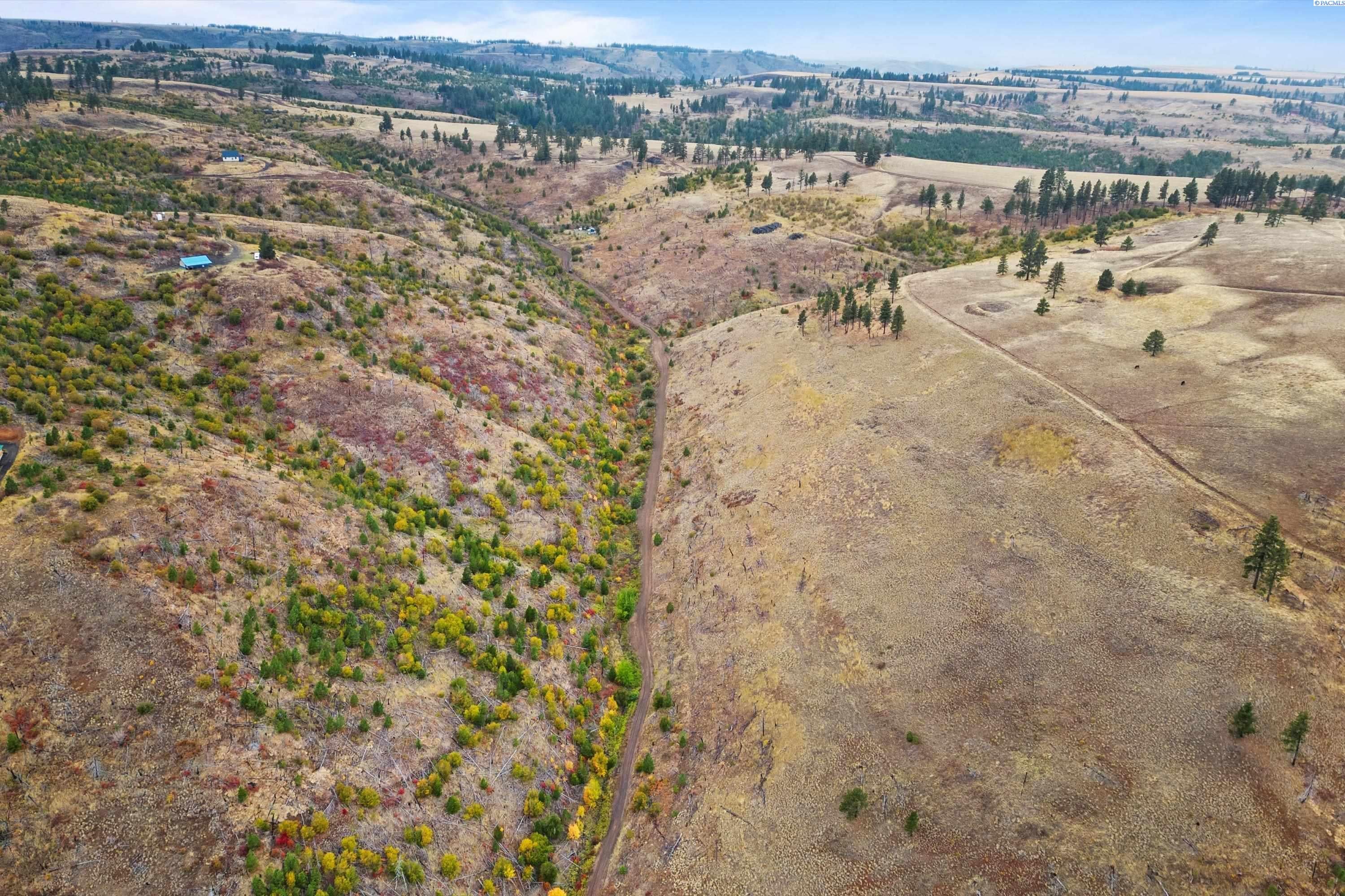 Kna34 Kna34 Velvet Ridge Road Pomeroy, WA 99347 - Photo 3 of 37 Gallery Image 3
