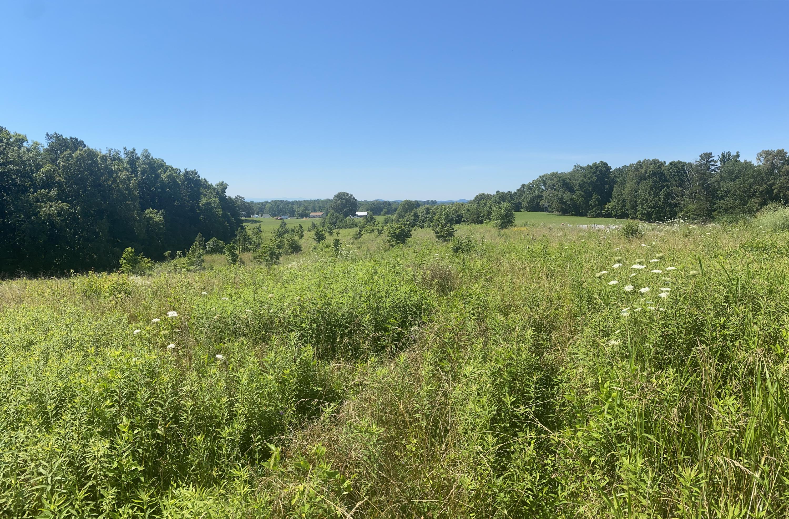 874 Cemetery Road Loudon, TN 37774 - Photo 14 of 16 7