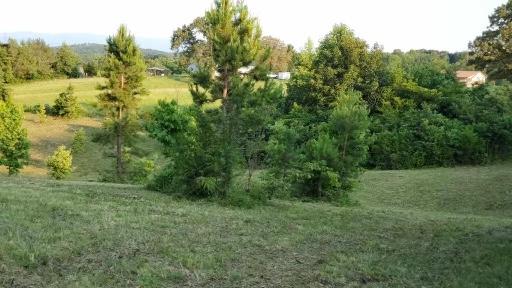 874 Cemetery Road Loudon, TN 37774 - Photo 3 of 16 EA4171FA-D6E5-494B-80A7-FC5CE2E50031