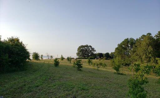 874 Cemetery Road Loudon, TN 37774 - Photo 4 of 16 68535ADE-2B11-4126-B5D1-62278D6DC22A