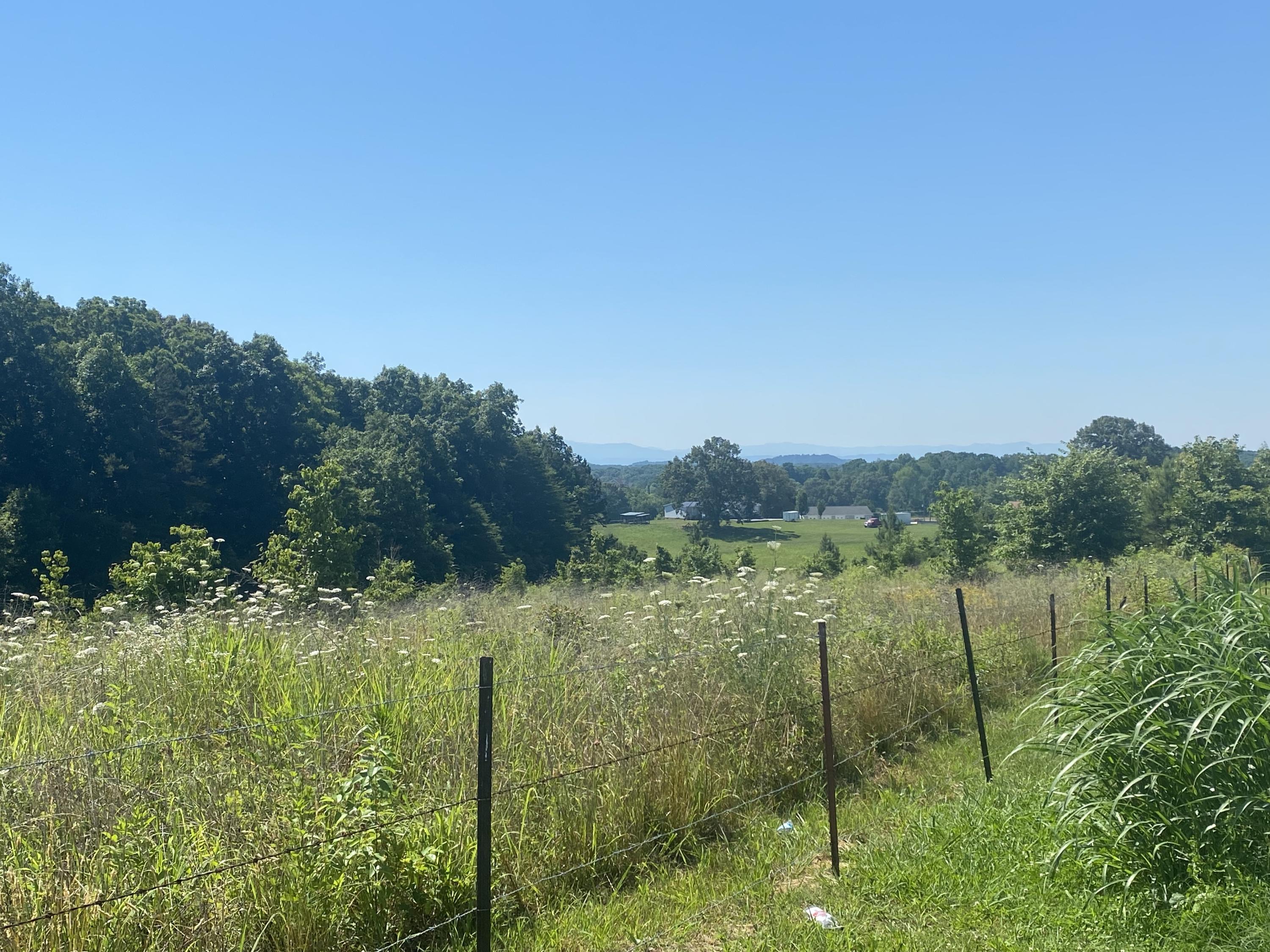 874 Cemetery Road Loudon, TN 37774 - Photo 5 of 16 1