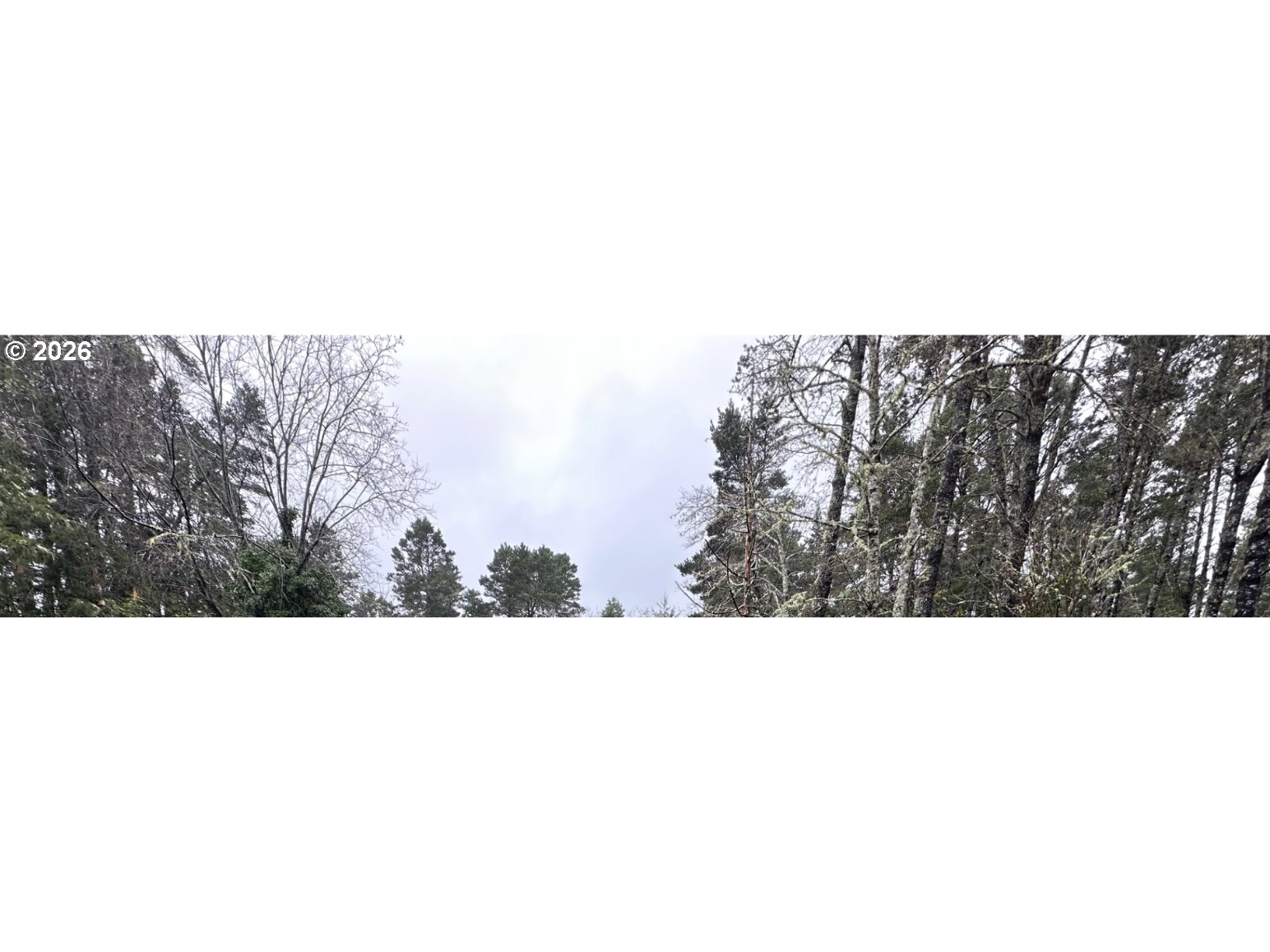 88029 Highway 101 Florence, OR 97439 - Photo 8 of 9