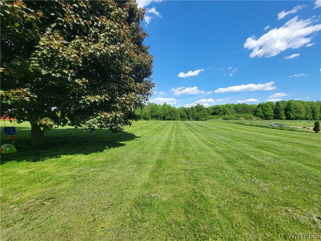 1163 Perry Road Covington, NY 14525 - Photo 38 of 41