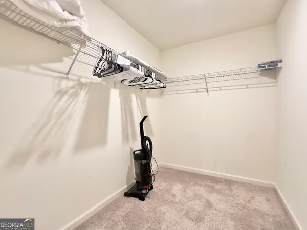 a cat sitting on a bed in a room