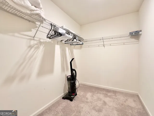 a cat sitting on a bed in a room