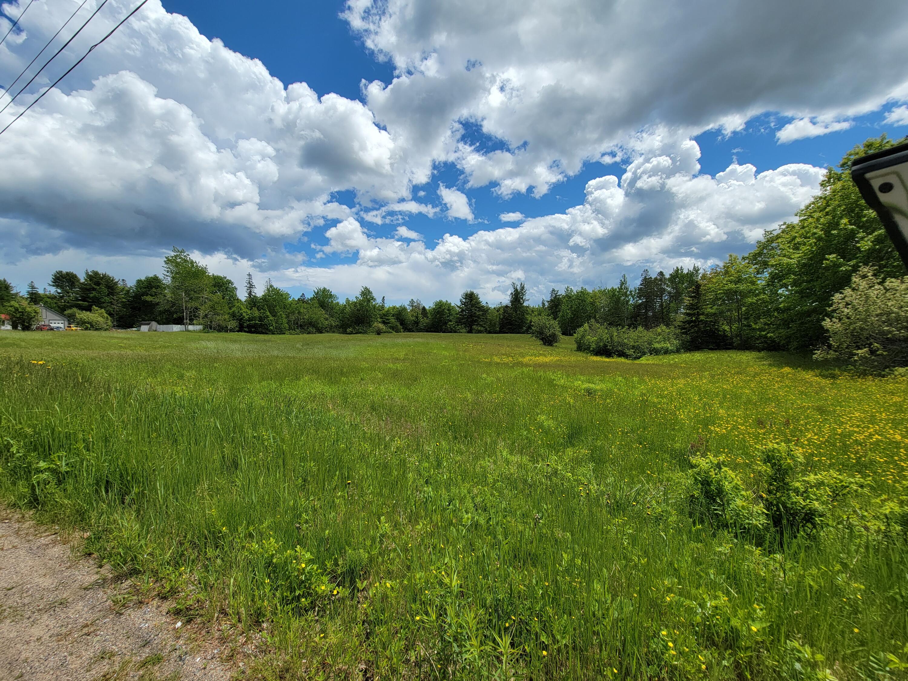 87 Hardy Point Road Pembroke, ME 04666 - Photo 13 of 13 20220605_125250