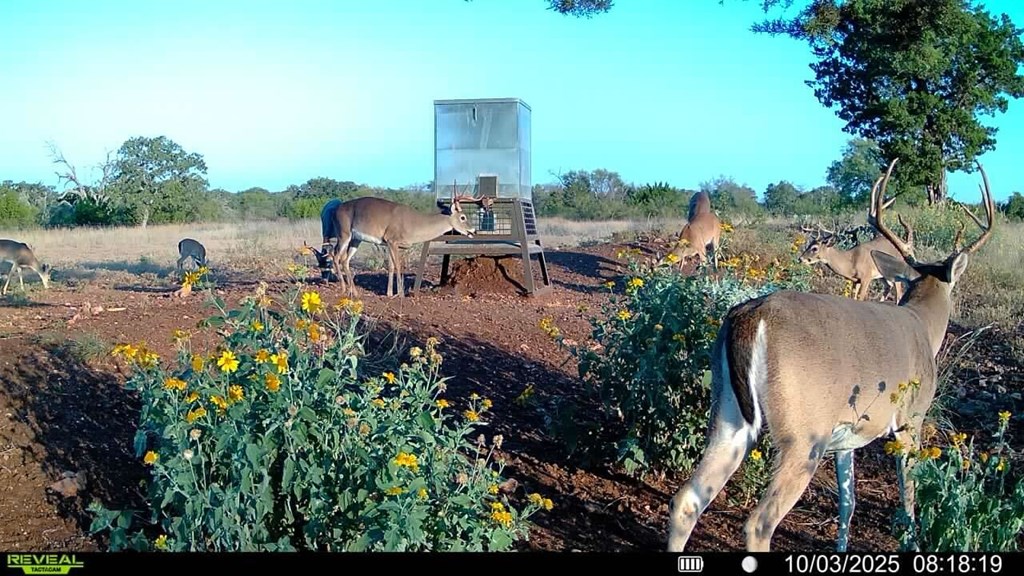 647 Funf Kinder Road Fredericksburg, TX 78624 - Photo 67 of 100 an aerial view of a house with garden space and lake view