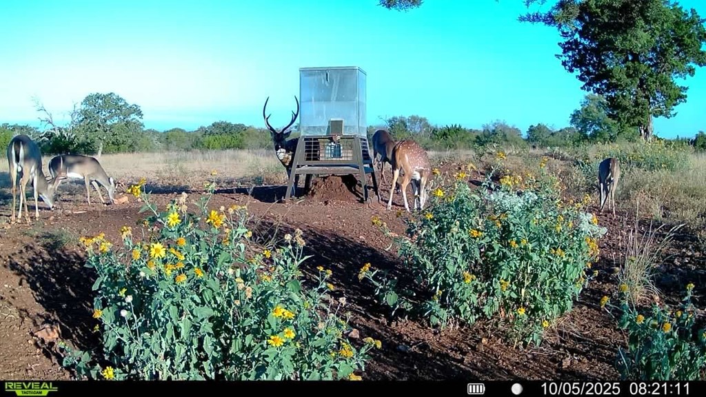 647 Funf Kinder Road Fredericksburg, TX 78624 - Photo 70 of 100 a view of a lake with a mountain in the back
