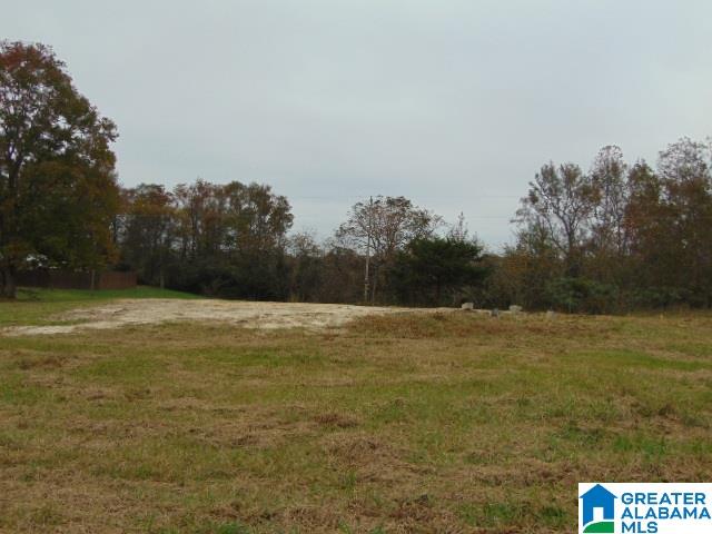 805 County Road 342, Unit 1 Maplesville, AL 36750 - Photo 4 of 7