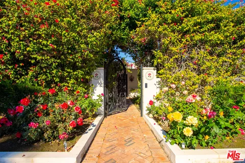 a view of a flower in a garden